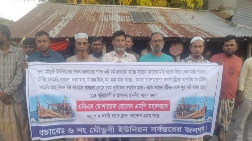 রাঙ্গাবালীতে অবৈধ ট্রলিং বোটে হুমকিতে সামুদ্রিক মাছ, বন্ধের দাবি জেলেদের
