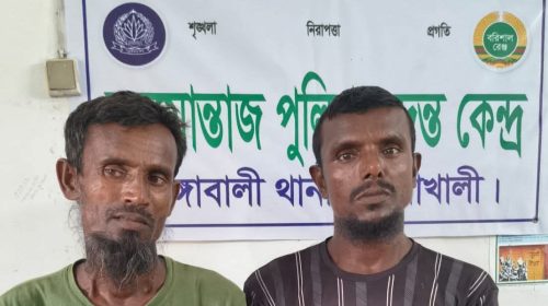 রাঙ্গাবালীতে লাল শাকের খেতে গাঁজা চাষ, আটক দুই চাষি
